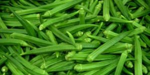 Fresh Okra