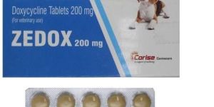 Zedox 200mg