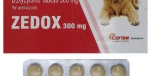 Zedox 300mg