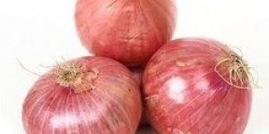 Pink Onion