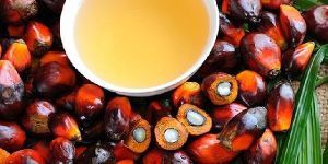 Organic Palm Oil
