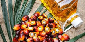 VIRGIN PALM OIL
