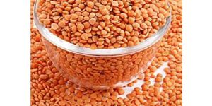 Red Lentils
