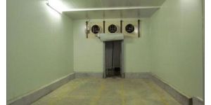 Lime Ripening Chamber