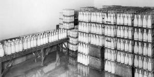 Milk Cold Storage Room