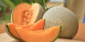 Fresh Muskmelon