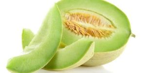 Honey Dew Melon