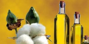 Refined Cottonseed Oil