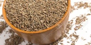 Organic Cumin Seeds