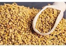 Organic Fenugreek Seeds