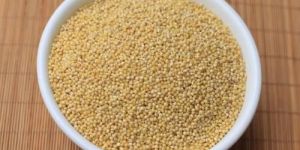 Organic Foxtail Millet