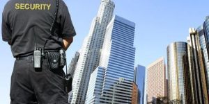 Building Security Guard Services