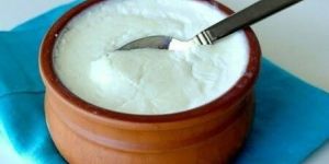 Fresh Curd