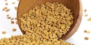 Fenugreek Seed