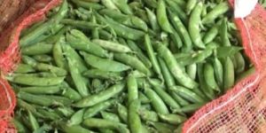 Fresh Green Peas