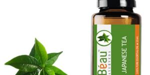 Japanese Tea Essential Oil
