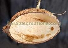 Coconut Shell Bird Feeder