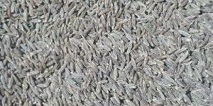 Cumin Seed