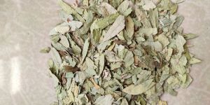 Senna Leaves