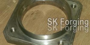 Stainless Steel Flanges