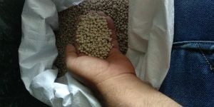 Zeolite Granules (Exclude)