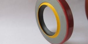 PTFE Oil Seal