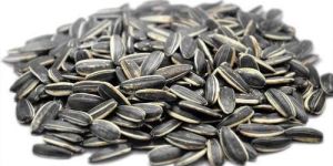 Sunflower Seeds