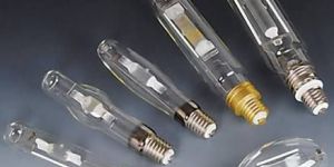 Metal Halide Bulb
