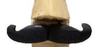 Wooden Spectacle Holder