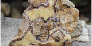 Septaria Rough Stone