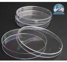 Glass Petri Dish