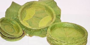 Eco Friendly Plates