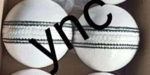 White Leather Cricket Ball