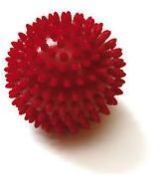 Spiky Dog Ball
