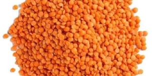 Red Lentils