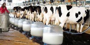 Dairy Farming Machine