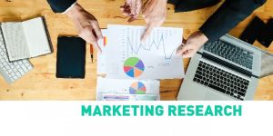 Market Research Consultancy Services