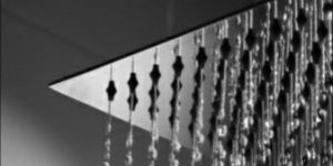 Stainless Steel Shower Head