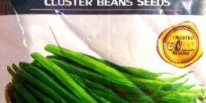Cluster Bean Seeds