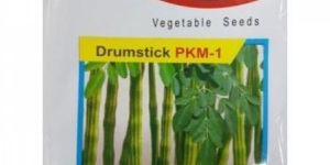Drumstick Seeds