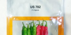 Hybrid Hot Pepper Seeds
