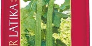 Hybrid Ridge Gourd Seeds