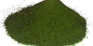 Organic Chlorella Powder