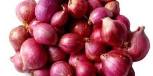 Rose Onion