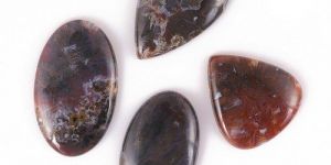 Petrified Wood Gemstone