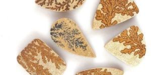 Psilomelane Dendrite Stone