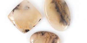 Tiger Dendrite Stone