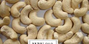 WW210 CASHEW NUTS
