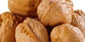 Shelled Walnuts