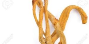 Dried Cordyceps Militaris